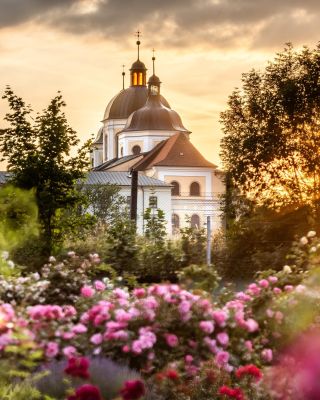 ☑️ Druhá největší růžová zahrada v České republice. ☑️ Oficiální označení Národní sbírka rostlin. ☑️ Prestižní ocenění...