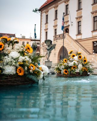 Už sedmé léto rozkvétá Arionova kašna na olomouckém Horním náměstí 😍 Letos výzdobu tvoří pět plovoucích květinových kruhů,...