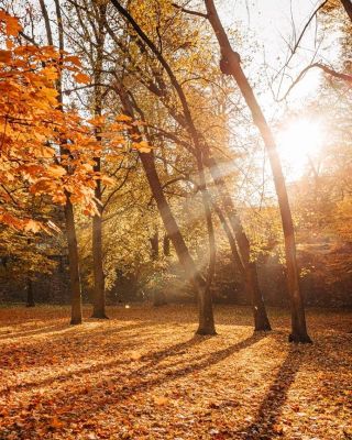 🍂🍁 Dnes začíná astronomický podzim 🍁🍂 Ve 20:19 vstoupí Slunce do znamení Vah a nastane podzimní rovnodennost. Dnešní den i...