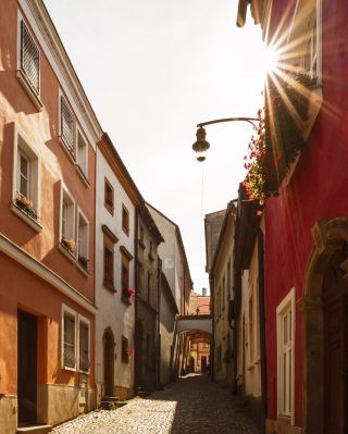 🍂🍁🍂 V Olomouci si podzim umíme udělat pěkný❗ Kromě parků, které v tomto ročním období září všemi barvami, se můžete těšit...