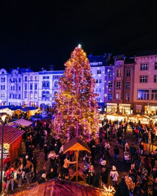 🌟🎄🌟 Olomoucké Vánoce jsou zahájeny❗❗ Letošní strom na Horním náměstí děti pojmenovaly Štědřínek. Sváteční atmosféru v...